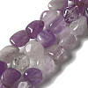 Natural Amethyst Beads Strands G-B078-D12-01-1