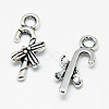 Tibetan Style Alloy Charms X-TIBE-S301-028AS-RS-1