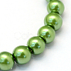 Baking Painted Pearlized Glass Pearl Round Bead Strands HY-Q003-10mm-13-2