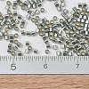 MIYUKI Delica Beads Small X-SEED-J020-DBS0048-4