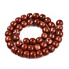 Natural Red Jasper Beads Strands G-T138-147-2