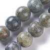 Natural African Turquoise(Jasper) Beads Strands G-E524-10-25mm-1