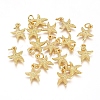 Electroplated Alloy Charms X-PALLOY-G267-06G-1