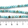 Natural Howlite Beads Strands G-H025-03C-01-5