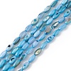 Natural Freshwater Shell Dyed Beads Strands SHEL-M018-13-01-1