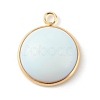 Natural & Syntheticl Gemstone Pendants PALLOY-JF00757-3