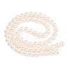 Glass Pearl Beads Strands HY-G002-01C-03-3