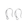 Tarnish Resistant 304 Stainless Steel Earring Hooks STAS-S057-60-1