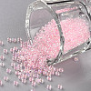 11/0 Grade A Transparent Glass Seed Beads X-SEED-N001-E-308-1