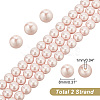 PandaHall Elite 2 Strands Electroplated Shell Pearl Beads Strands BSHE-PH0001-32A-2