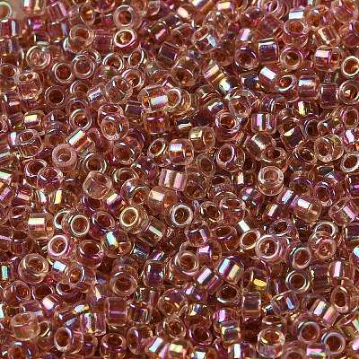 Glass Seed Beads X-SEED-S042-13A-17-1