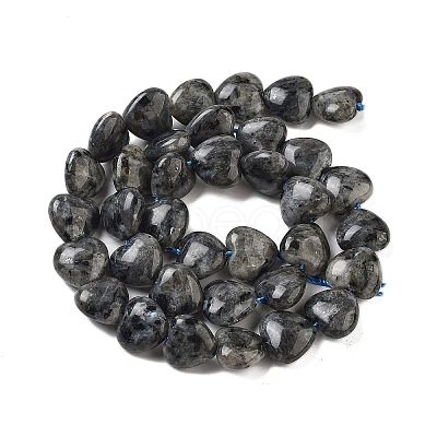 Natural Larvikite Beads Strands G-B022-28C-1