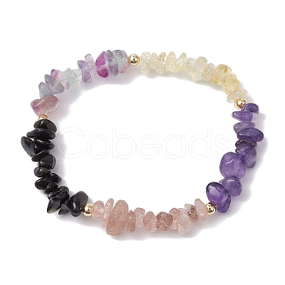 Pisces Guardian Gemstone Stretch Bracelets BJEW-JB11108-02-1