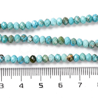 Natural Howlite Beads Strands G-H025-03C-01-1