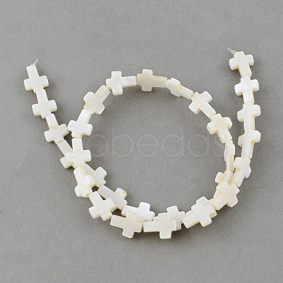 Natural Sea Shell Beads Strands X-SSHEL-Q296-34-1