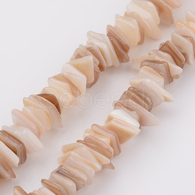 Natural Shell Bead Strands X-BSHE-P021-14-1