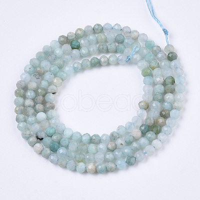 Natural Flower Amazonite Beads Strands G-R462-027-1