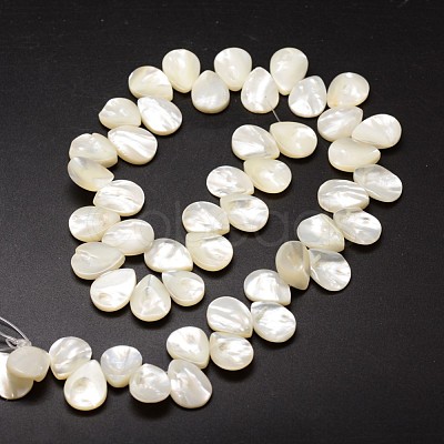 Natural Trochid Shell/Trochus Shell Beads Strands SSHEL-K009-06-1