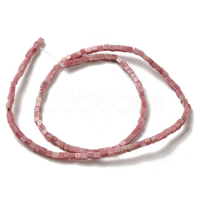 Natural Rhodonite Beads Strands G-B064-A08-1