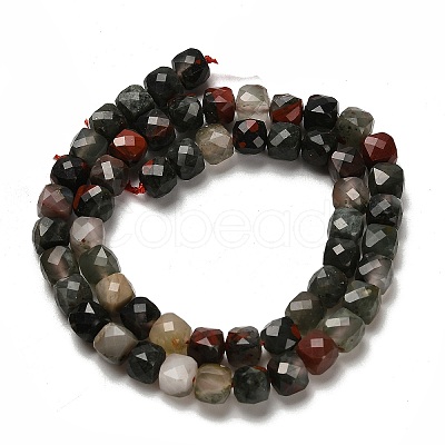 Natural African Bloodstone Beads Strands G-H078-C26-01-1