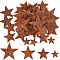 Gorgecraft 48Pcs 4 Styles Iron Pendants, Rusting, Star, Coconut Brown, 25.4~59x25.4~62x4~6mm, Hole: 1~2.5mm, 12pcs/style