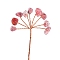 Natural Strawberry Quartz Display Decorations, Home Office Decorations, Flower, Golden, 120mm