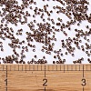 MIYUKI Delica Beads X-SEED-J020-DB0461-4
