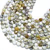 Natural White African Opal Beads Strands G-K389-B23-01-2