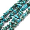 Natural Turquoise Chip Beads Strands X-G-D093-A01-1