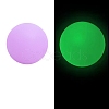 Luminous Food Grade Silicone Beads PW-WG61784-07-1