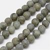 Natural Labradorite Frosted Bead Strands G-O155-04B-8mm-1