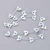 Natural White Shell Mother of Pearl Shell Beads SSHEL-L018-011-3