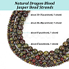 Olycraft 4 Strands 4 Styles Natural Dragon Blood Jasper Bead Strands G-OC0005-10-4