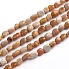 Natural Fossil Coral Beads Strands G-D0002-B36-1