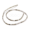 Natural Labradorite  Beads Strands G-M389-10-2