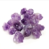 Natural Rough Raw Amethyst Display Decorations G-PW0007-157-5