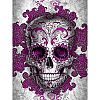 DIY Halloween Skull Theme Diamond Painting Kit DIY-H159-01B-2