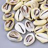 Natural Cowrie Shell Beads X-SSHEL-N034-28-1