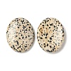 Natural Dalmatian Jasper Worry Stone for Anxiety Therapy G-B036-01J-2