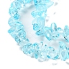 Transparent Glass Beads Strands GLAA-P060-01B-02-3
