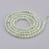 Natural Prehnite Beads Strands G-F568-121-3mm-2