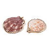 Electroplate Multicolor Sea Shell Pendants SSHEL-S262-31-4