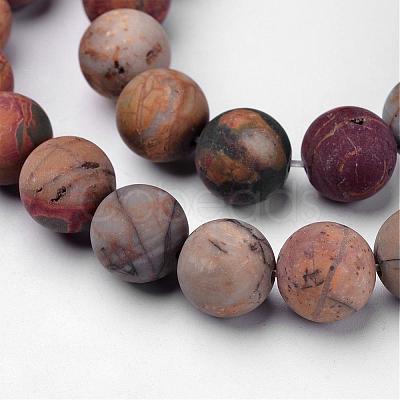 Natural Polychrome Jasper/Picasso Stone/Picasso Jasper Beads Strands G-D809-03-10mm-1