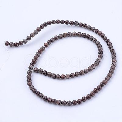 Natural Snowflake Obsidian Beads Strands G-Q462-4mm-37-1