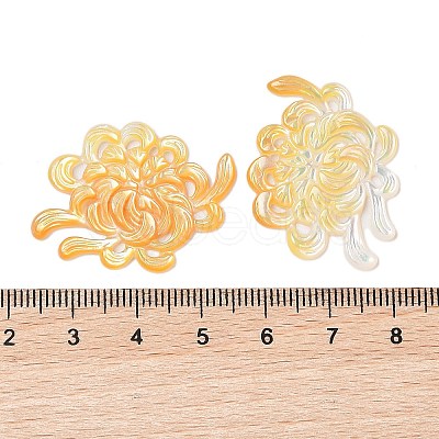 Natural Yellow Shell Carved Cabochons SSHEL-C012-24B-1