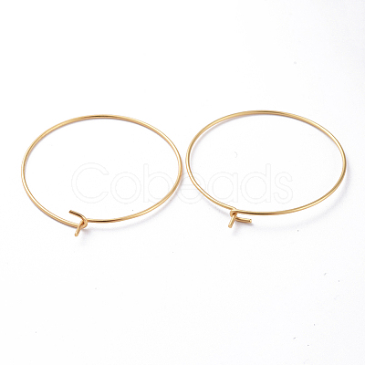 316 Stainless Steel Hoop Earring Findings STAS-J025-01D-G-1