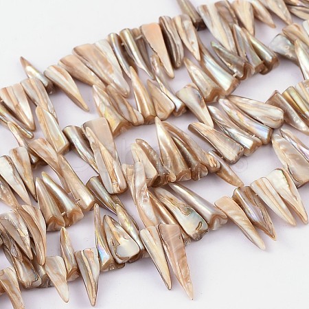 Natural Shell Beads Strands X-YPBB030-1