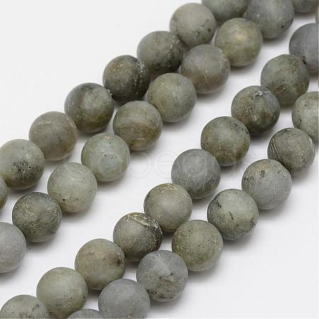 Natural Labradorite Frosted Bead Strands G-O155-04B-8mm-1