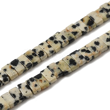 Natural Dalmatian Jasper Beads Strands G-Z045-A07-01-1