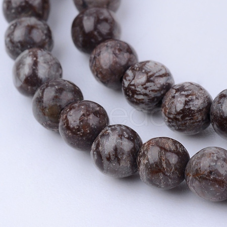 Natural Snowflake Obsidian Beads Strands X-G-Q462-6mm-37-1